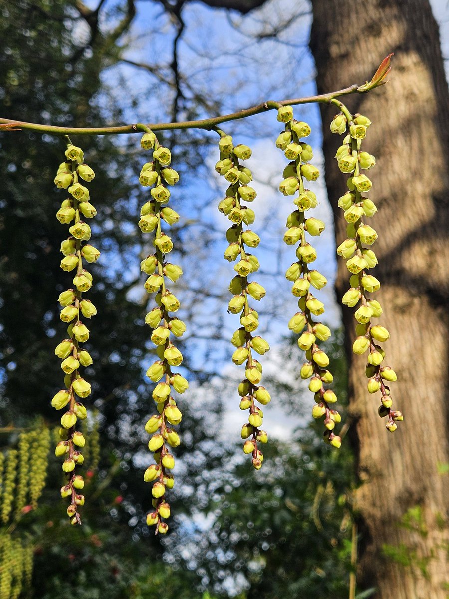 Matthew Williams tweet media