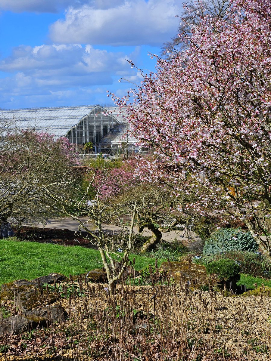 Matthew Williams tweet media