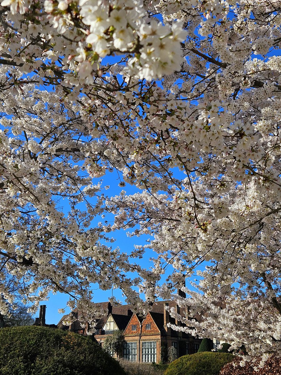 Matthew Williams tweet media