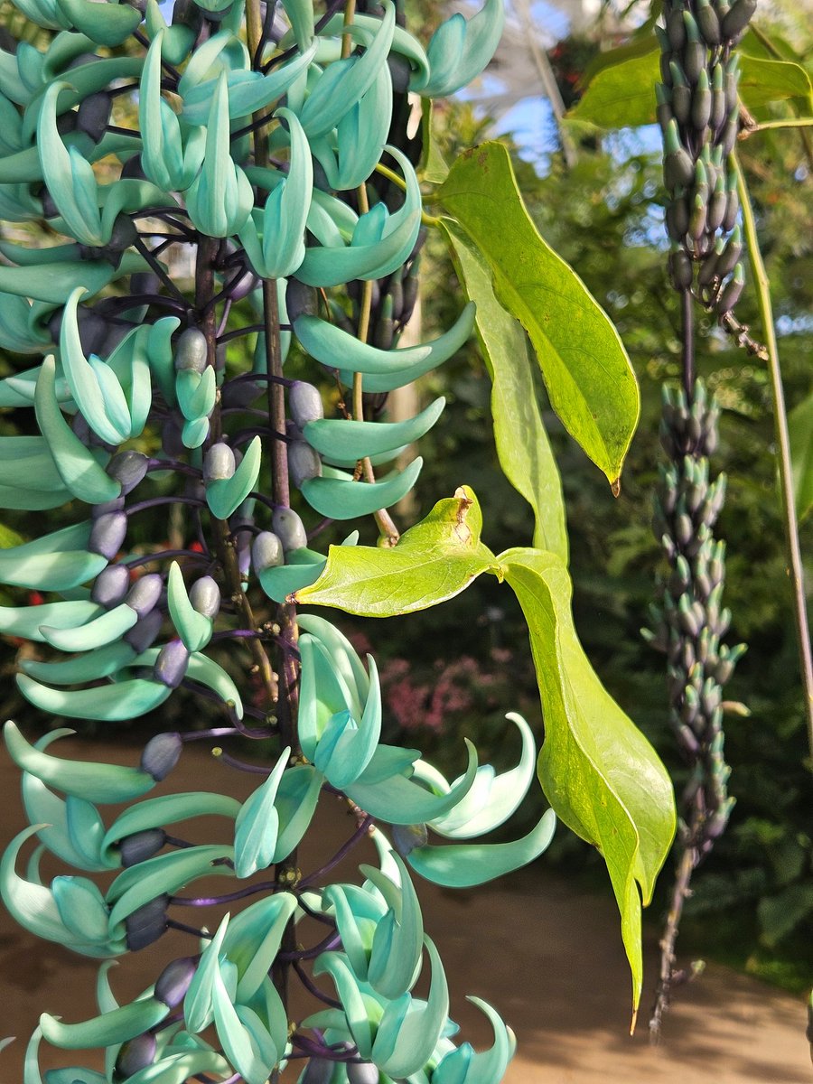 Matthew Williams tweet media