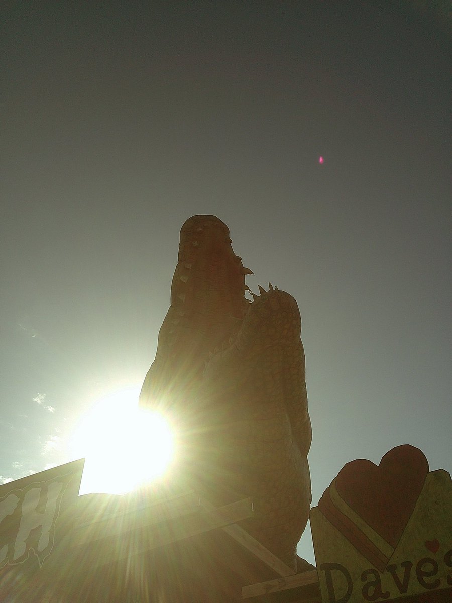 SourceBMX tweet media