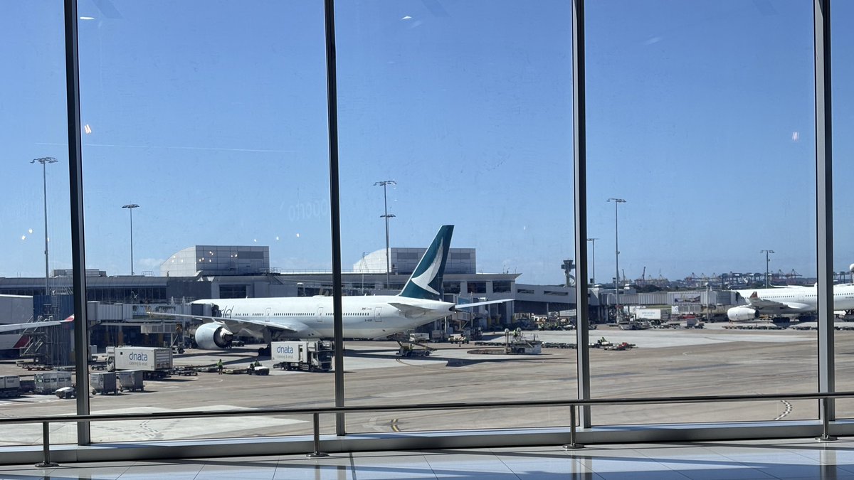 wombot 👀 tweet media