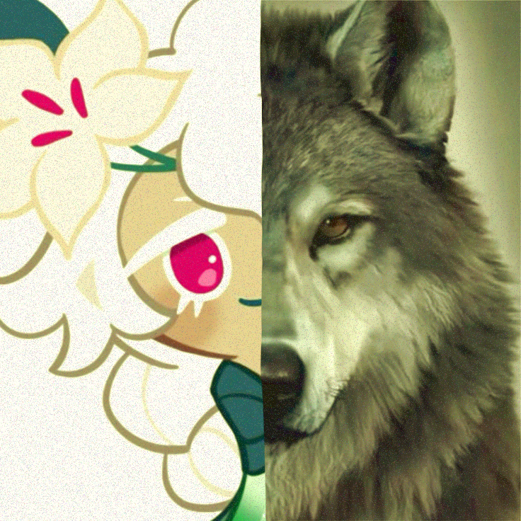 NOT evil autumn || SUGARFLY COOKIE GLAZER 🤑🤑 tweet media