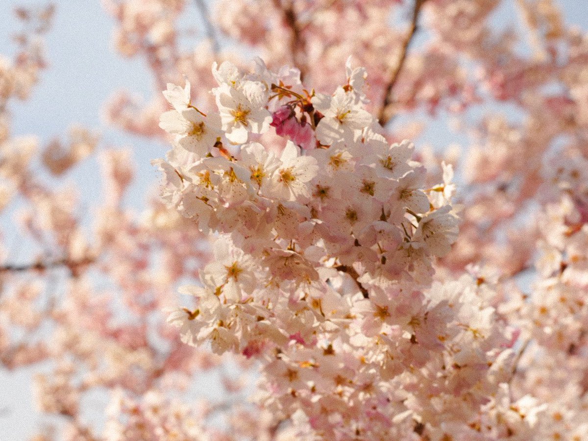 Eri Inoue tweet media