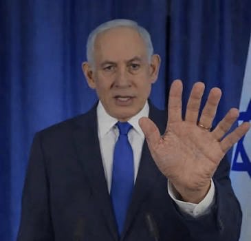 Mr. Whale tweet media