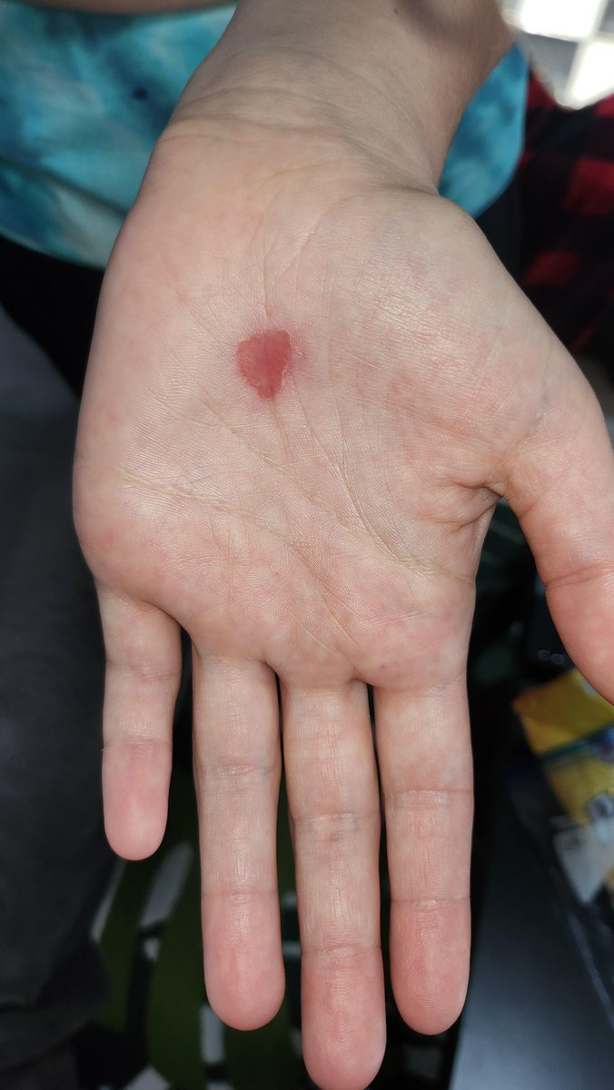 bitfloorsghost tweet media