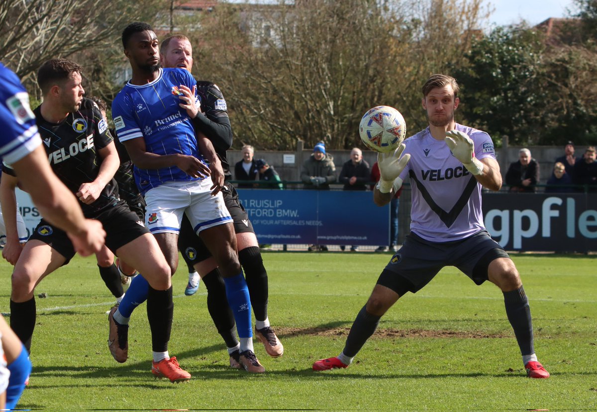 Tom Piffle tweet media