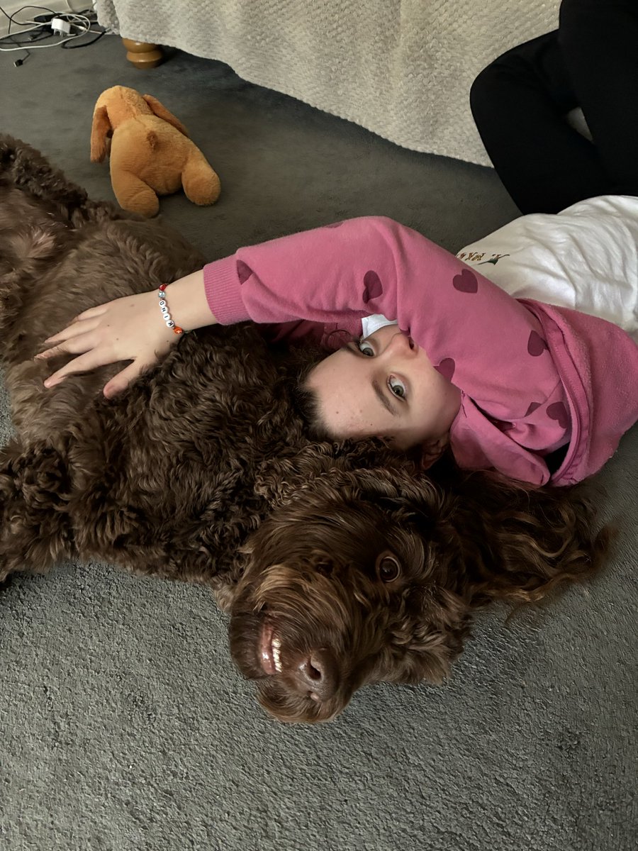 nikki rolfe tweet media