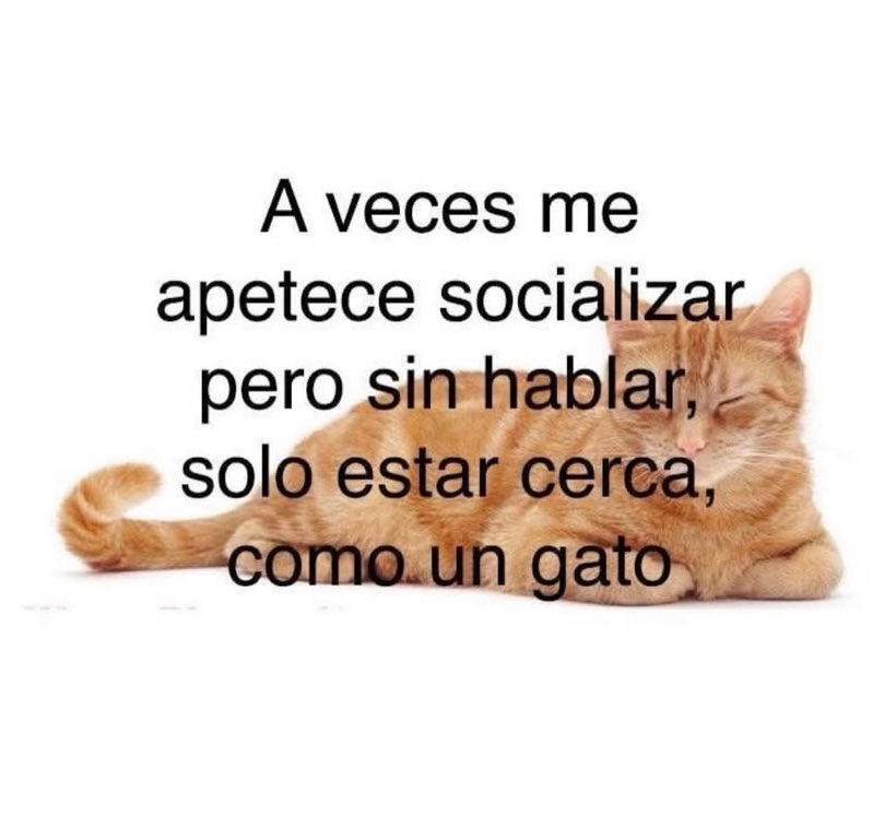 riri ♡ tweet media