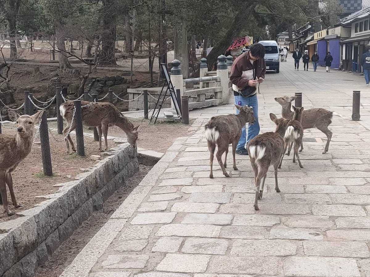 竹内元太 tweet media