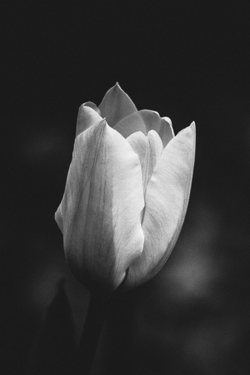 Jack Beatnic tweet media