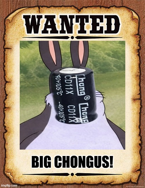 Ruggers Customs tweet media