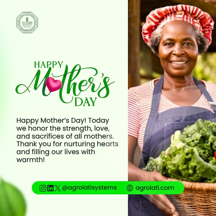 i_am_seyide's tweet photo. Happy Mother’s Day❤️

I just finished working on these visuals for different brands. What do you think, did I cook? 

I’m up for branding and design deals. Send a DM today📈 https://t.co/tE3aXh6SRt