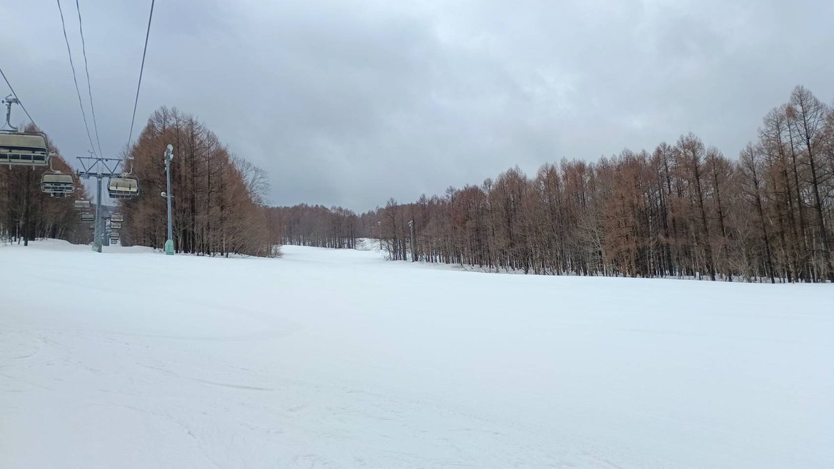 青森スプリング・スキーリゾート tweet media