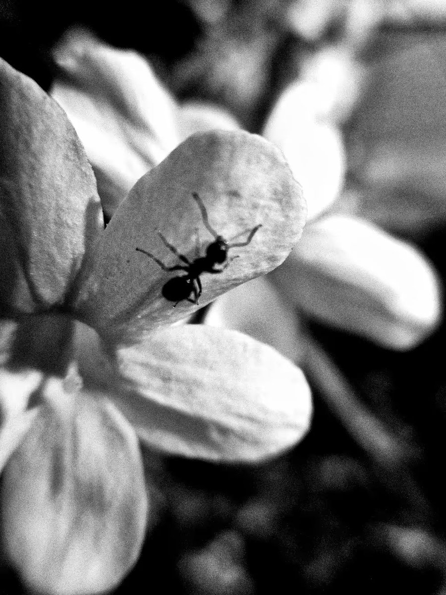 Jack Beatnic tweet media