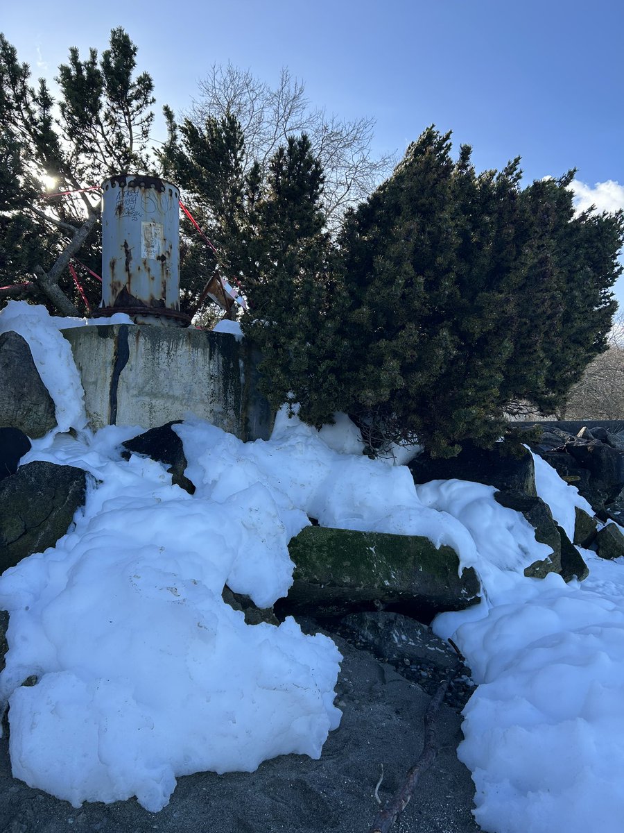 Thomas Brendelson tweet media