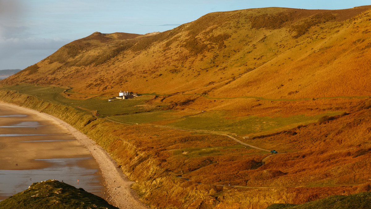 Alex Jay tweet media