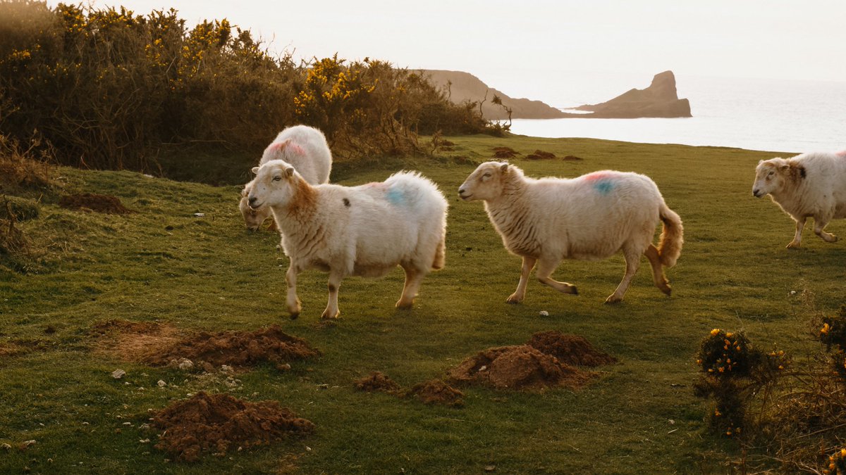 Alex Jay tweet media