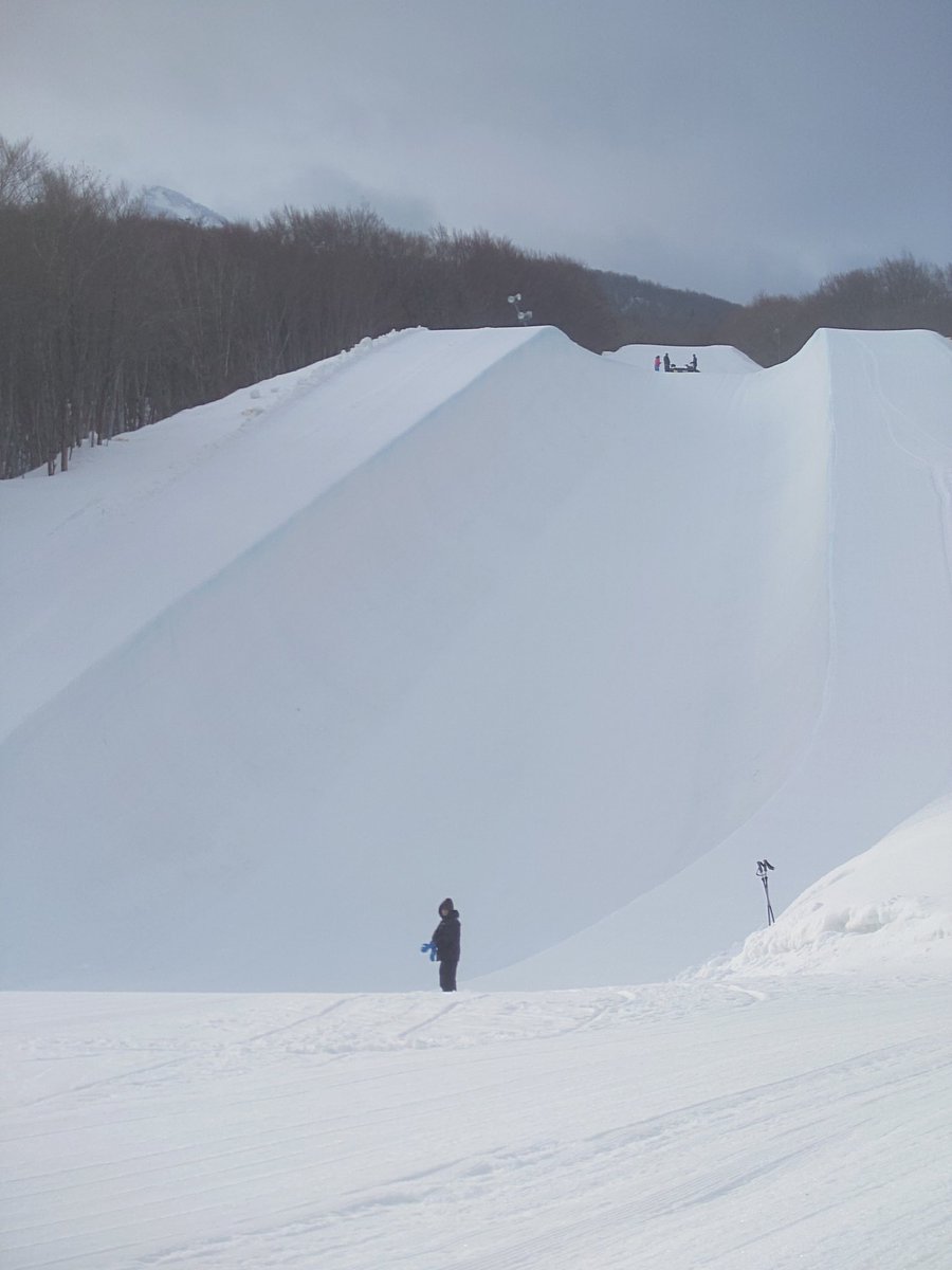 青森スプリング・スキーリゾート tweet media