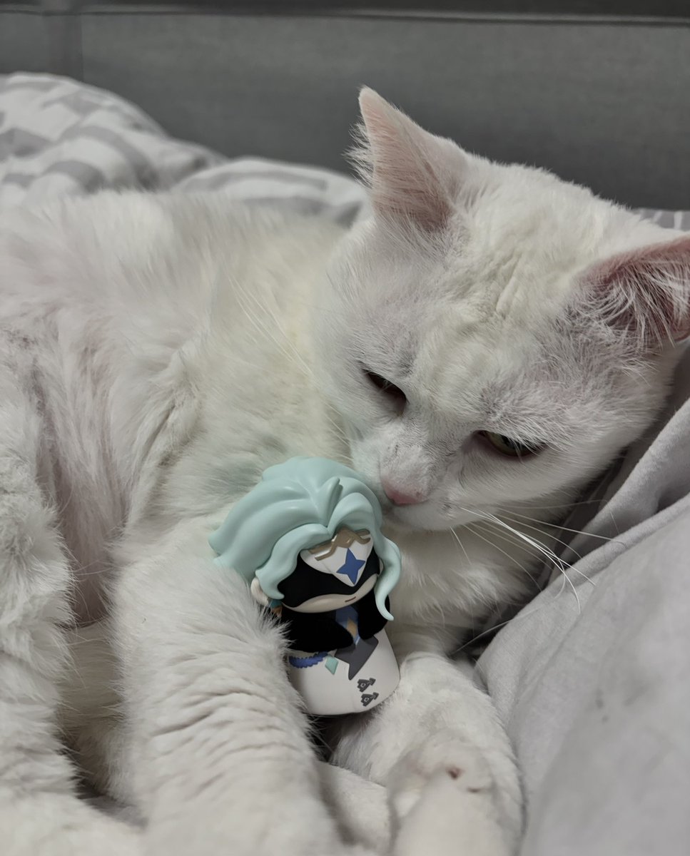 fish ₓ˚○◦˚. tweet media