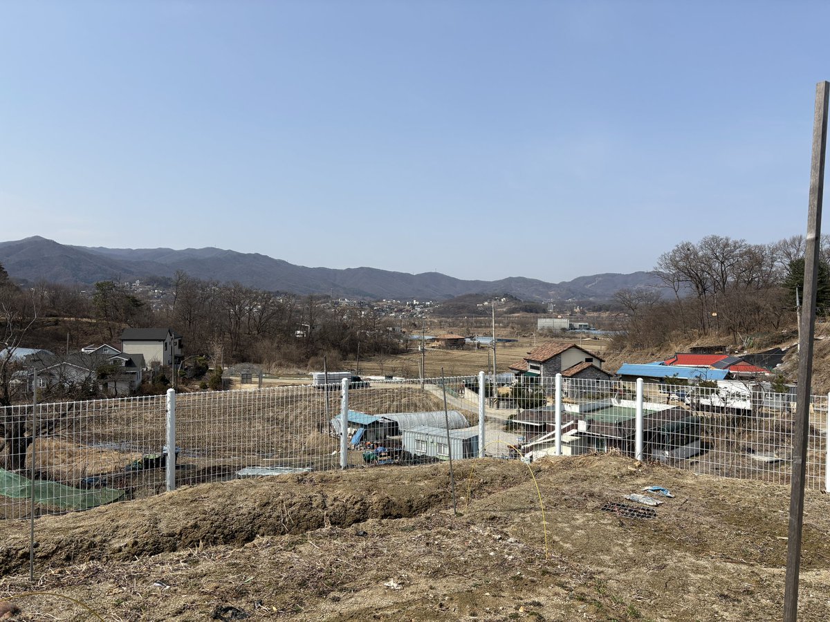 SAORI CASINO Dealer tweet media