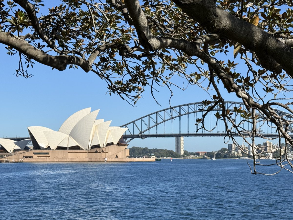 跳皮筋的体育生 tweet media