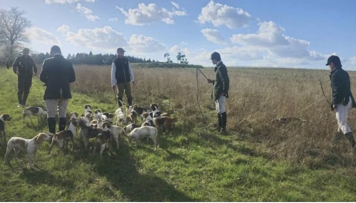 Action Against Hare Hunting tweet media