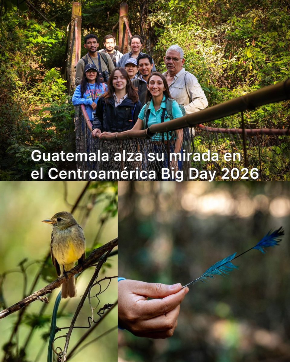 CATA Centroamérica tweet media