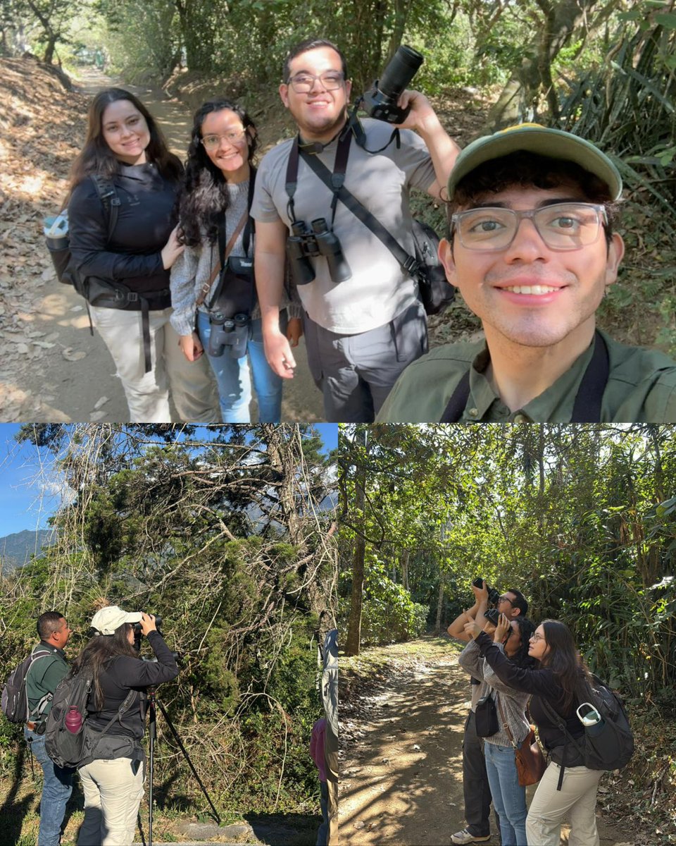 CATA Centroamérica tweet media