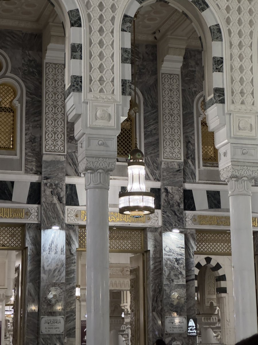 𝙳𝙰𝙷𝙾𝙼 tweet media