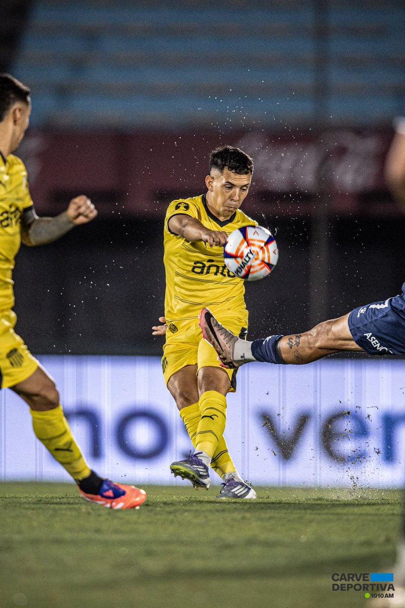 Diego Miranda tweet media