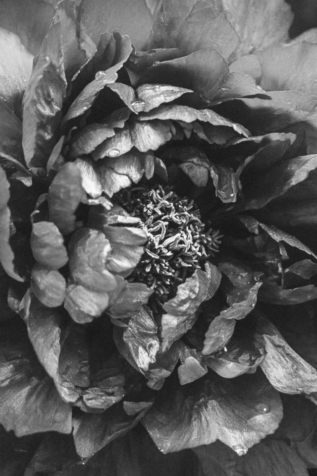 Jack Beatnic tweet media