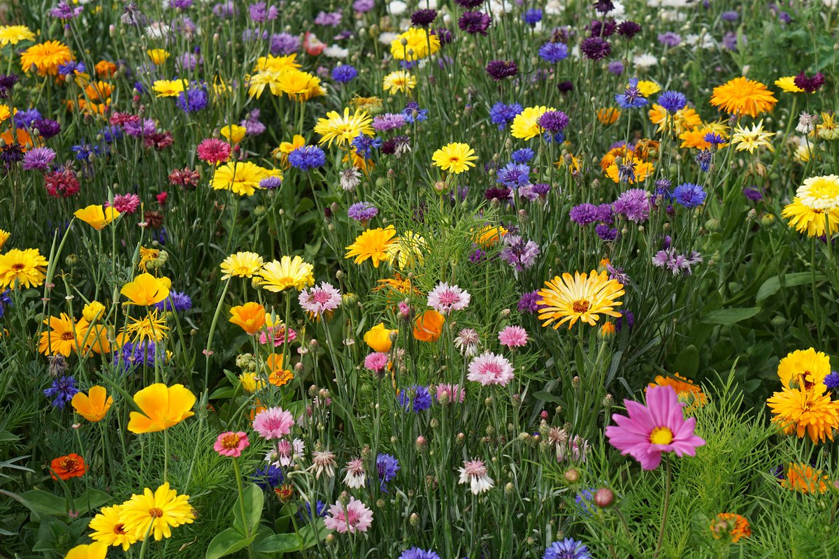 SCM Integrity First Companies tweet media