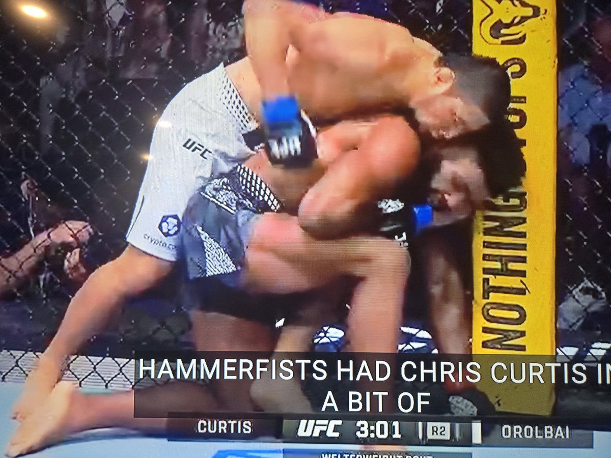 Octagon Doctor tweet media