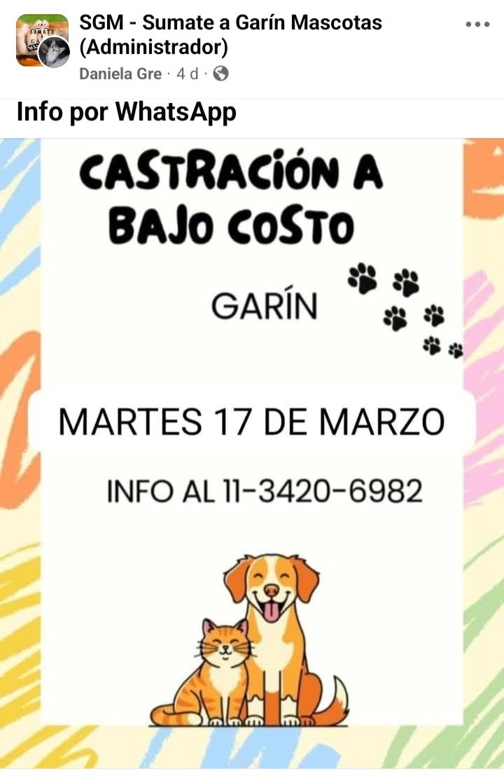 protegealanimal's tweet photo. ESCOBAR - GARÍN
#ESCOBAR #INGMASCHWITZ #MASCHWITZ #GARÍN #MATHEU #MAQUINISTASAVIO #SAVIO #BELÉNDEESCOBAR #LOMAVERDE #ZONANORTE #GRANBSAS #BSAS https://t.co/MgImsdoYWG