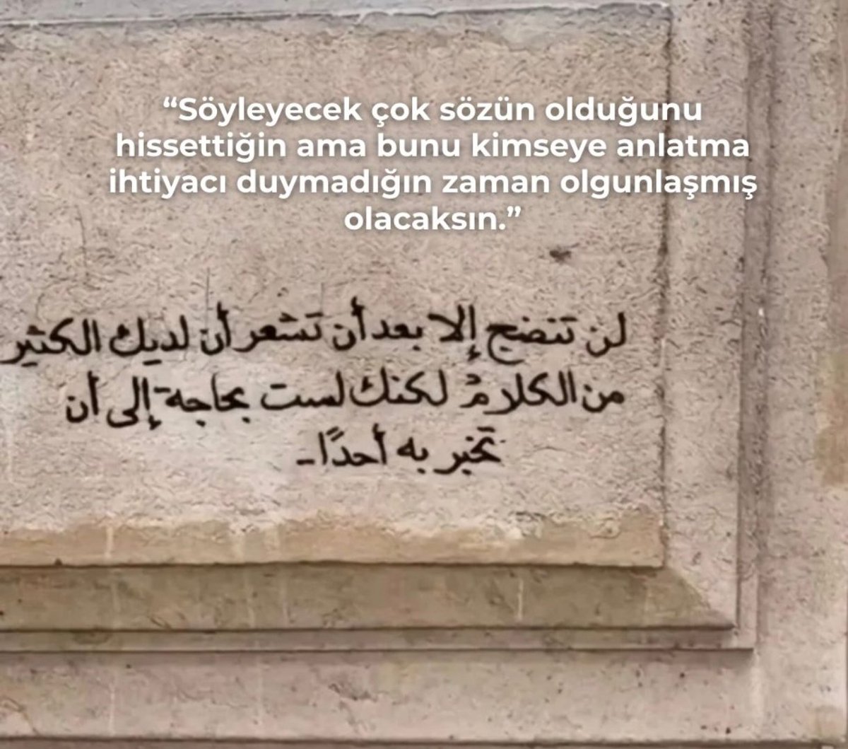 mesutaglamis's tweet photo. Söyleyecek çok sözün olduğunu hissettiğin ama bunu kimseye anlatma ihtiyacı duymadığın zaman, olgunlaşmış olacaksın...

-Bir Duvar Yazısı-

#geceyebirsöz https://t.co/mbJXvfVu3m
