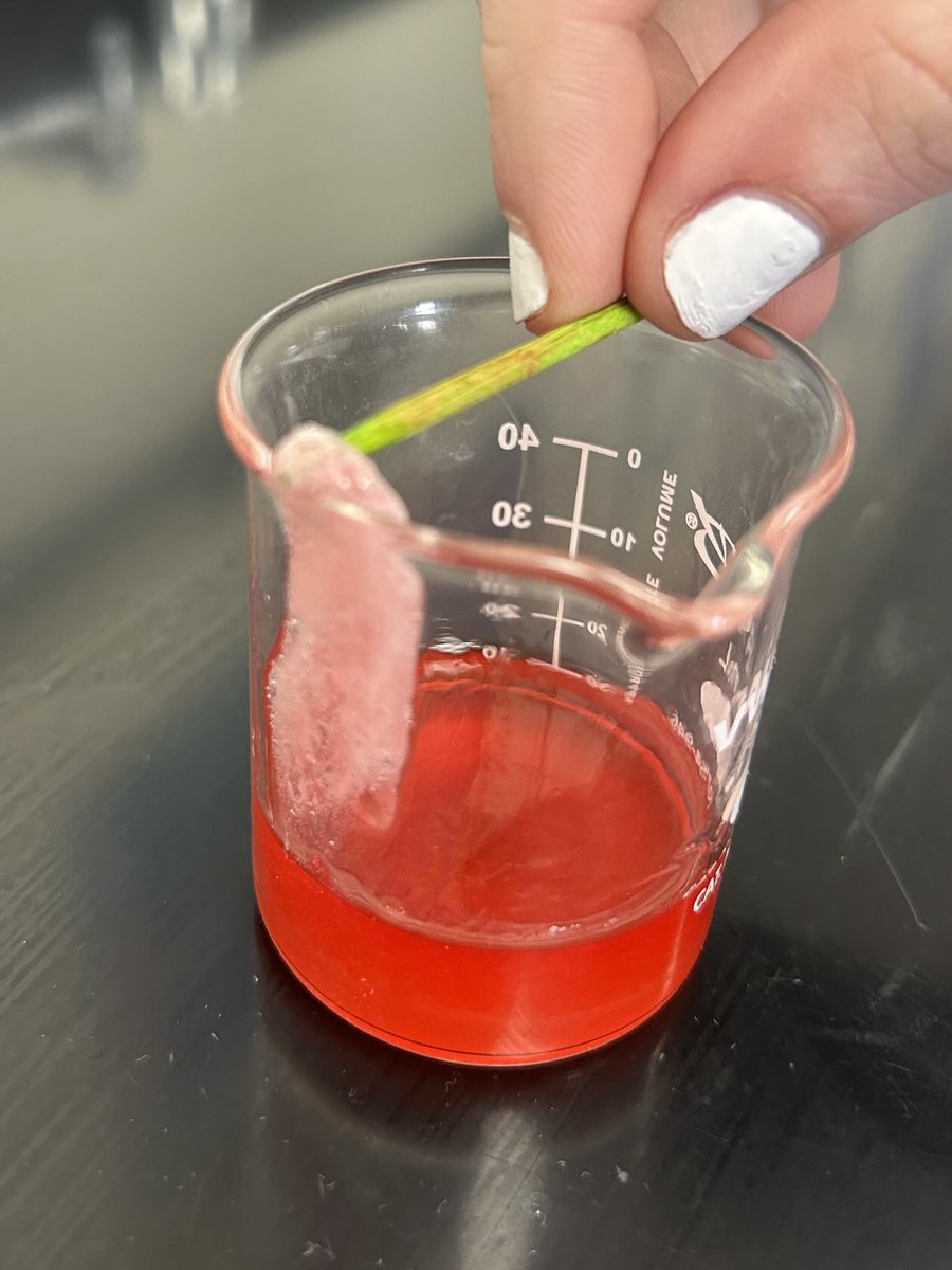 Mrs Tekulve tweet media