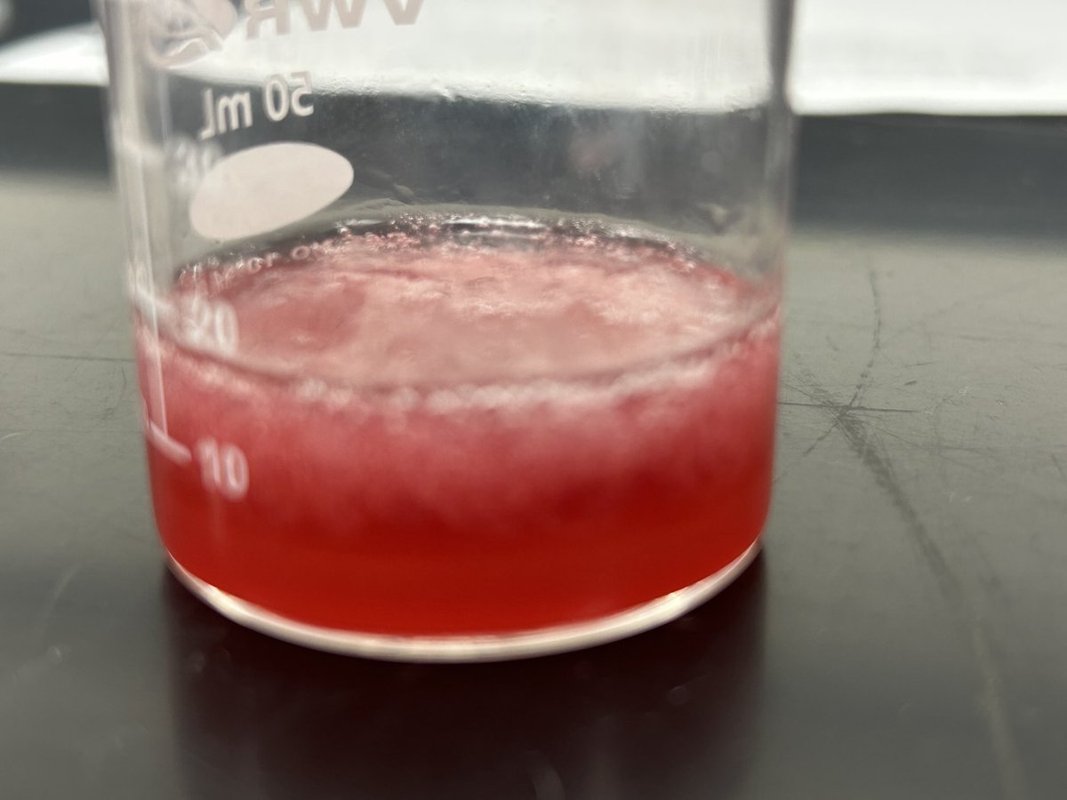 Mrs Tekulve tweet media