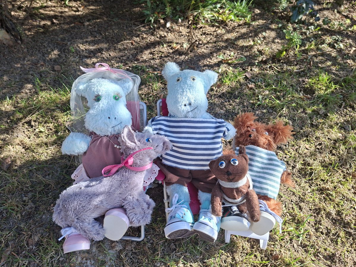 Aleksandra Tryniecka tweet media