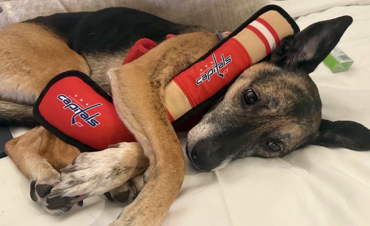 Sammi Silber 🏒 tweet media