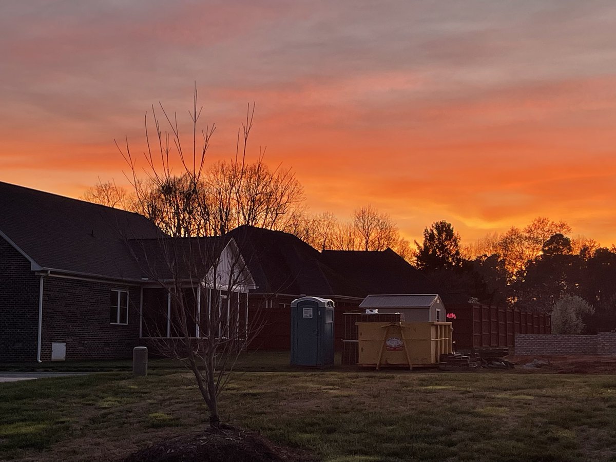 Mark Dodson ©️ tweet media