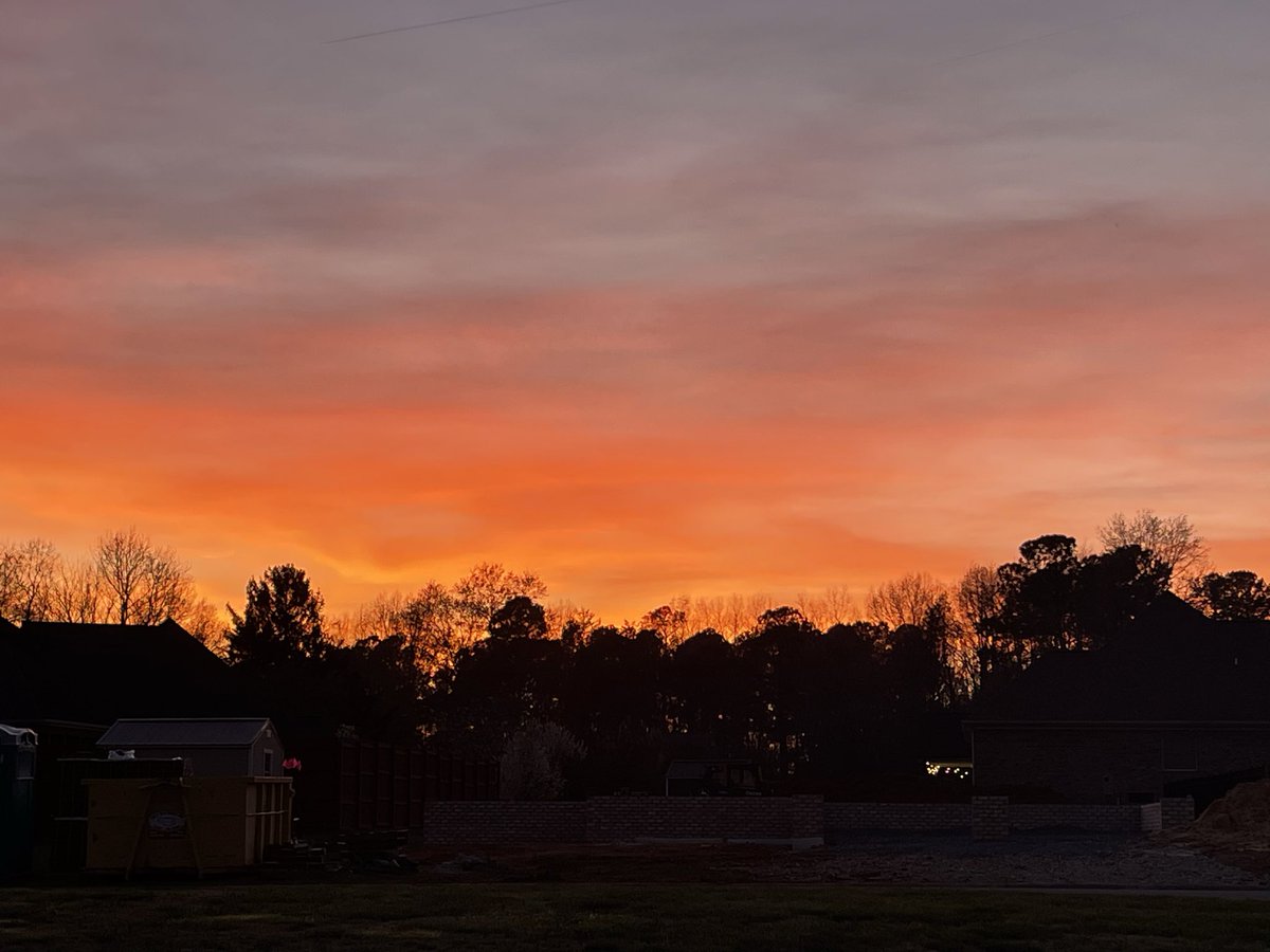 Mark Dodson ©️ tweet media