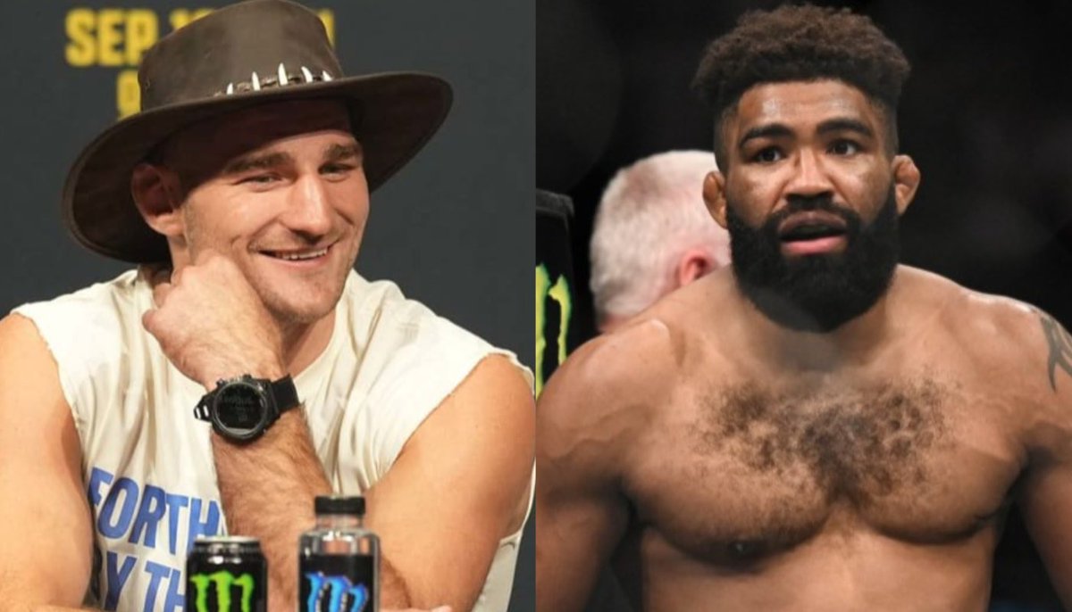 Blind Bear 🐻🕶️ tweet media