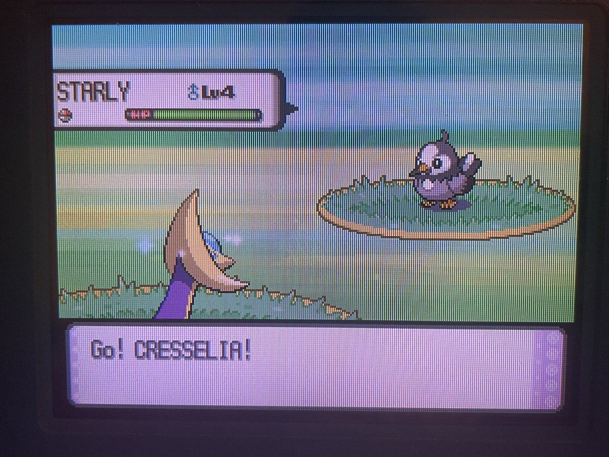 PinkEXP | pinkexp.bsky.social tweet media