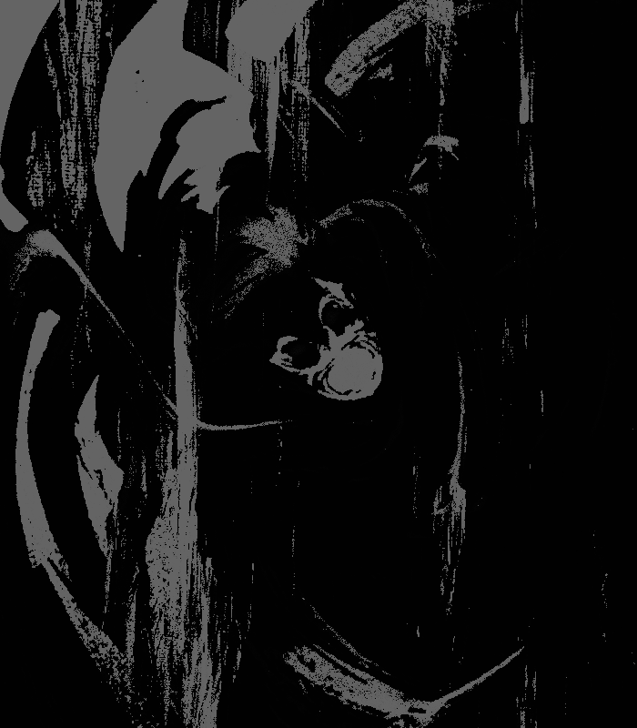 ‍ ‍ ‎‍𝖇𝖚𝖙‍ ‍ 𝖆‍ ‍ * ‍ ‍ ᴰᴱᴬᵀᴴᴰᴿᴱᴬᴹ . tweet media