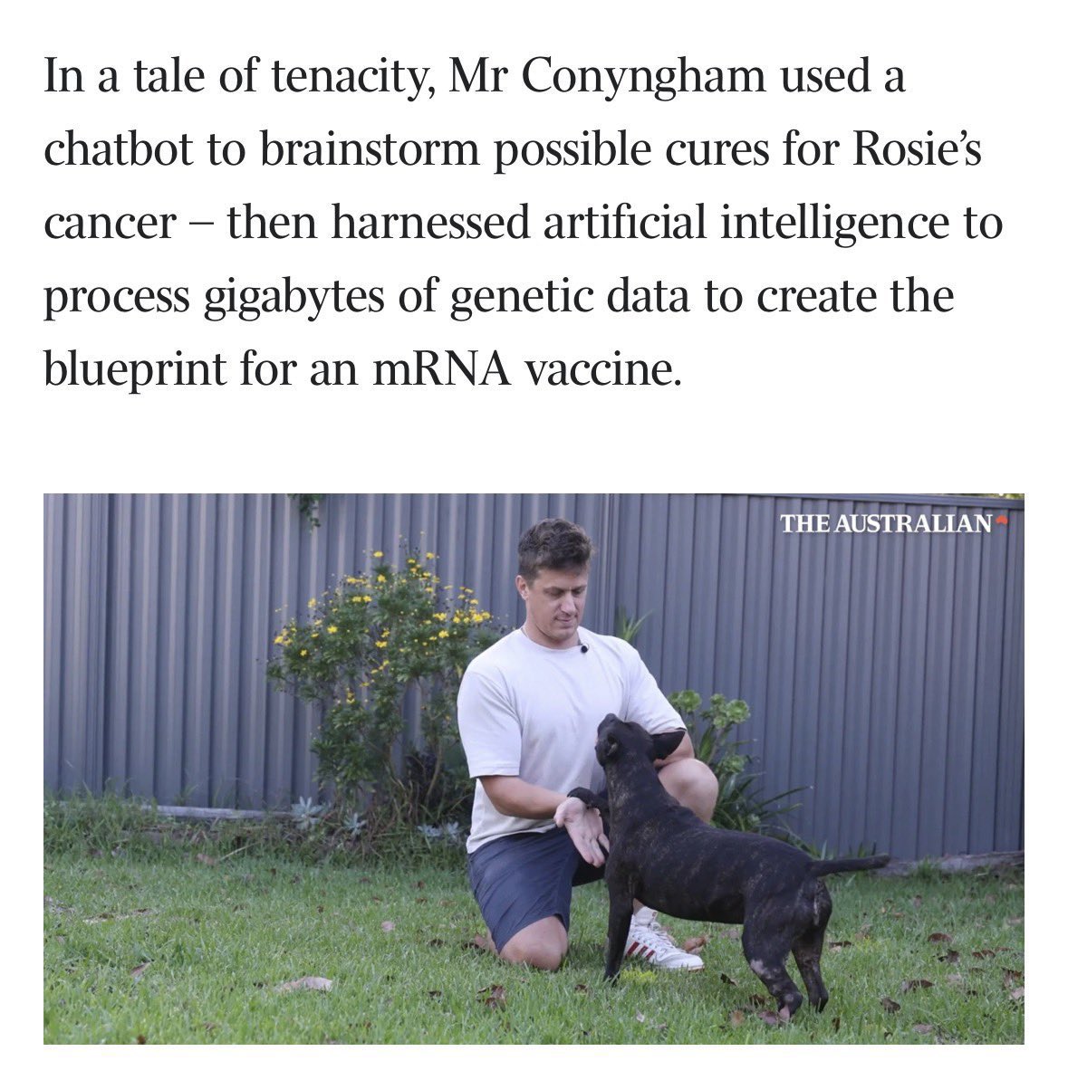 yueya🦅 tweet media