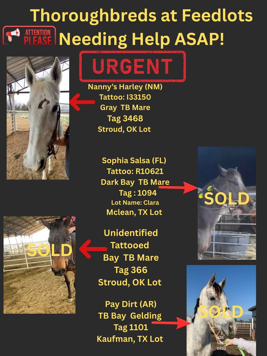 R.A.C.E. Fund, Inc. tweet media