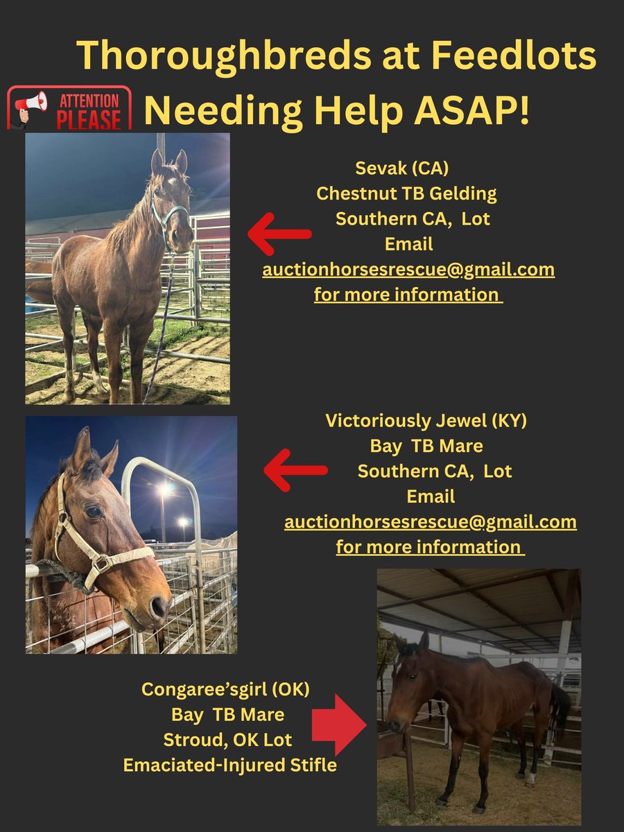 R.A.C.E. Fund, Inc. tweet media