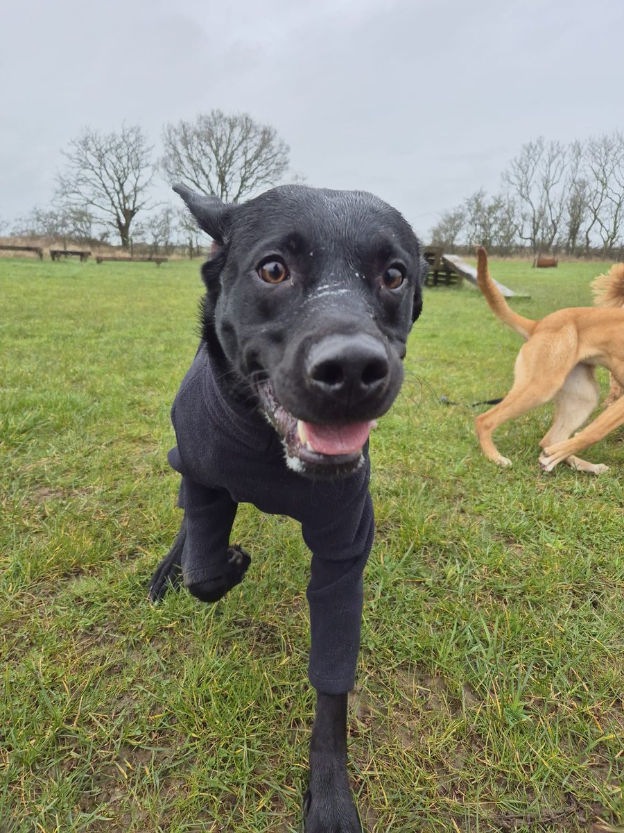 🌟ALLIE YARM 🌟 tweet media