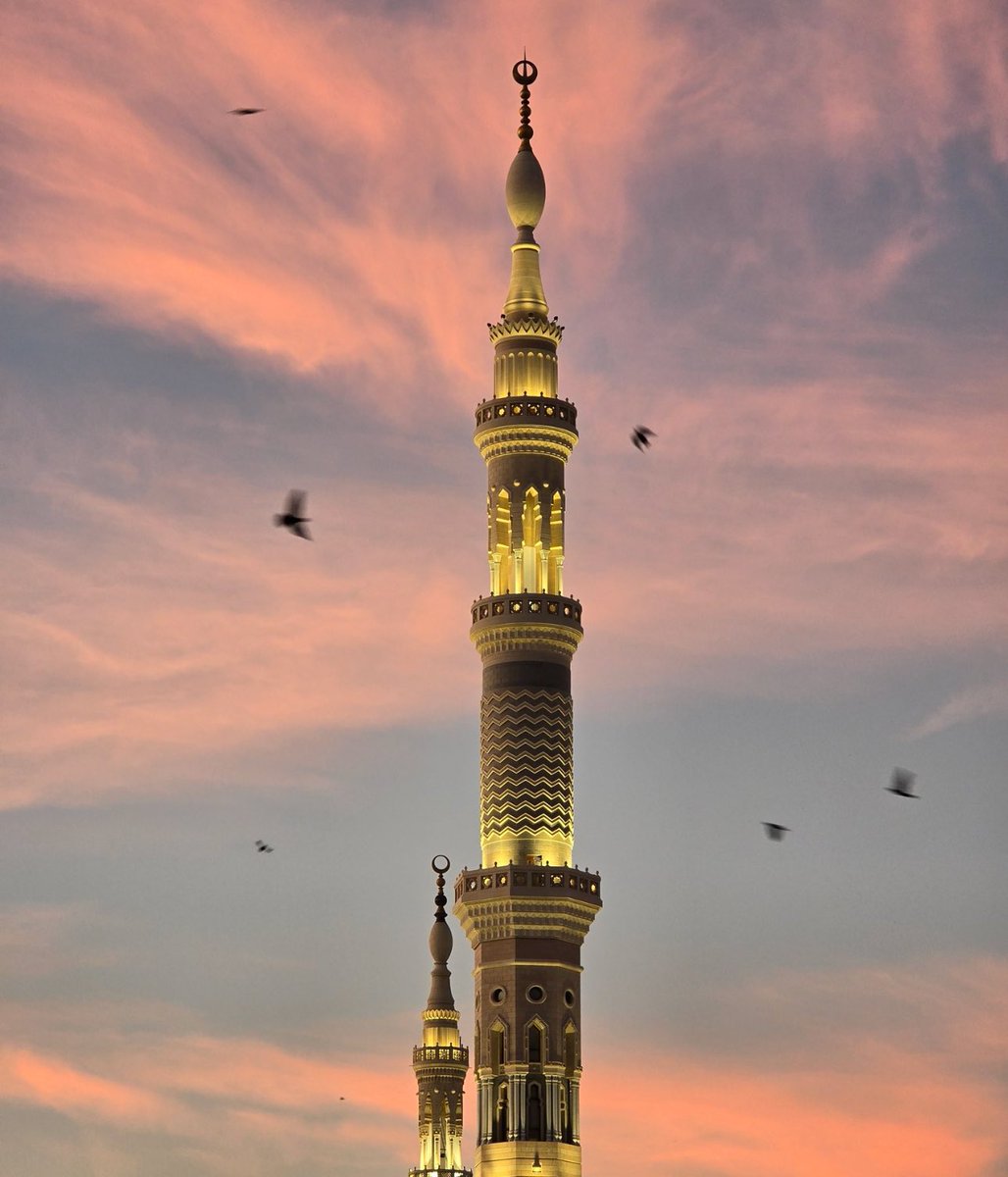 Aqsa Chaudhry🌙🇵🇸🇵🇰 tweet media